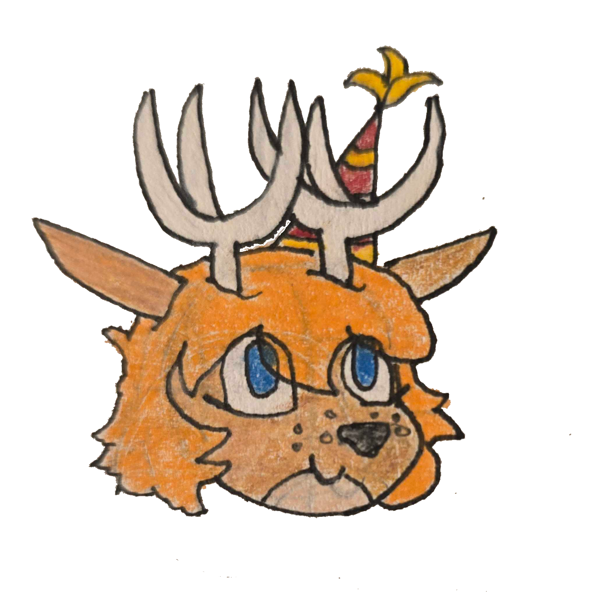 SnepShark@pleasetf.me