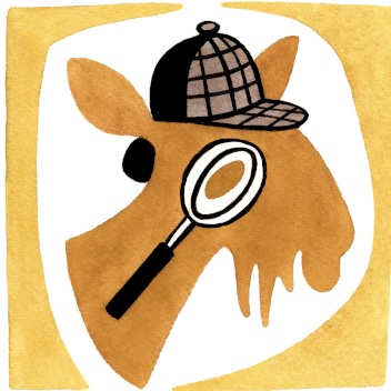 shel@soc.lizard.tools